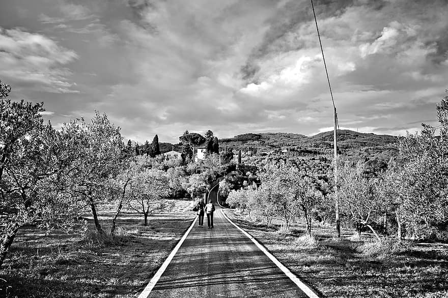토스카나, 한 지방, 올리브 나무, 나무, 이탈리아, 검정색과 흰색, 열차 선로, 구름, 하늘, 교통, 여행