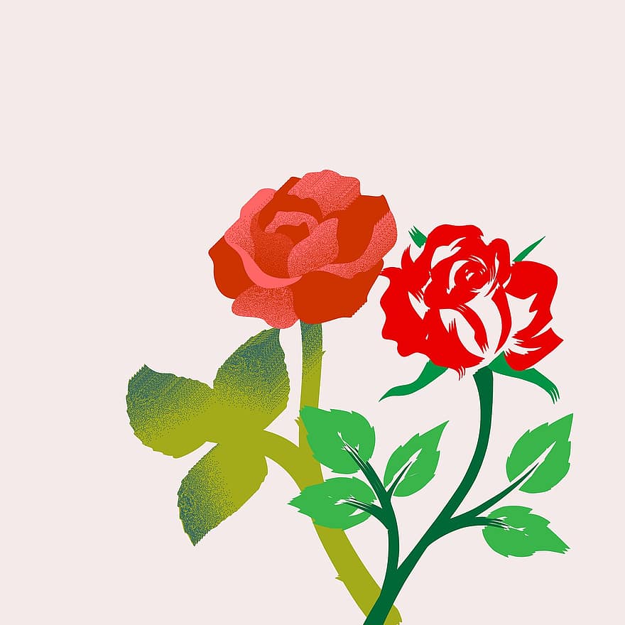 τριαντάφυλλα, ειδύλλιο, αγάπη, άνθινος, σχέδιο, σκίτσο, δημιουργικότητα, ανθίζω, άνθος, φυτό, βοτανική