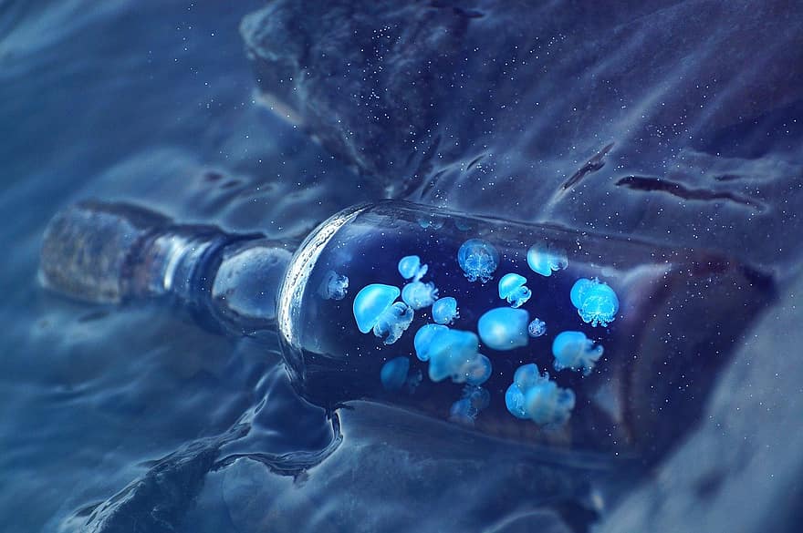 garrafa, mar, medusa, bioluminescente, oceano, fantasia, surrealismo, papel de parede, fundo, azul, fechar-se