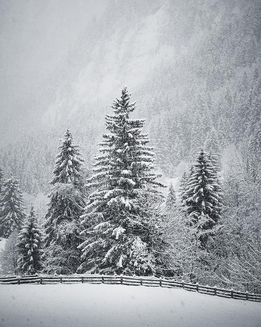 nieve, montañas, invierno, paisaje de invierno, Valle de Ziller, Tirol, Austria, paisaje, naturaleza