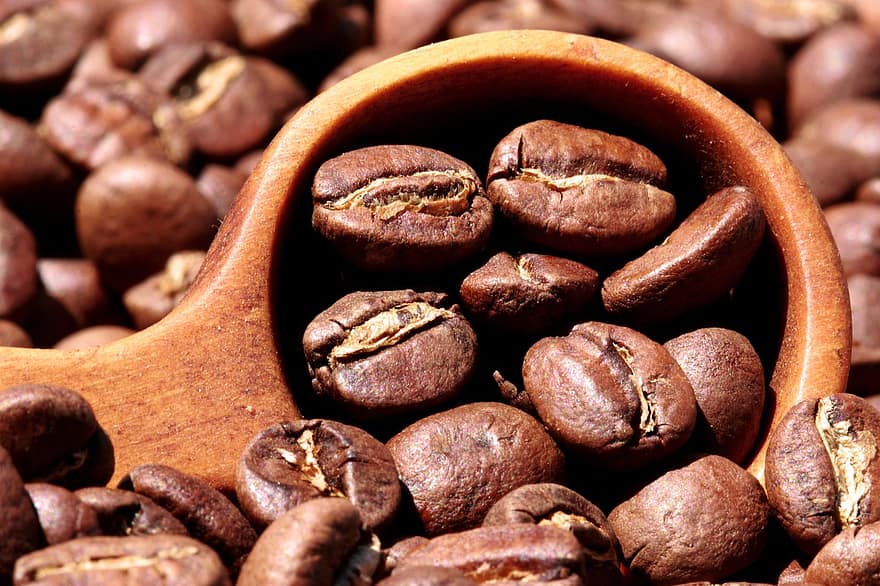 Kávová zrna, káva, pražená káva, kofein, povzbuzující