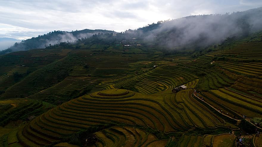 Terraces, Farm, Landscape, Rice, Paddy Field, Agriculture, Field, Plantation, Countryside, Rural, Land