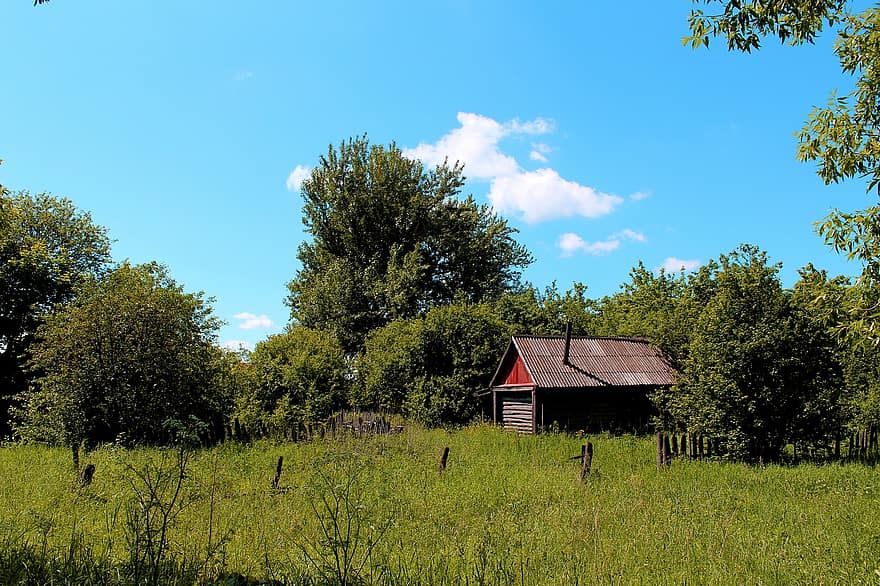 Barn, Abandoned House, Village, Summer, Nature, Old, rural scene, grass, tree, farm, meadow