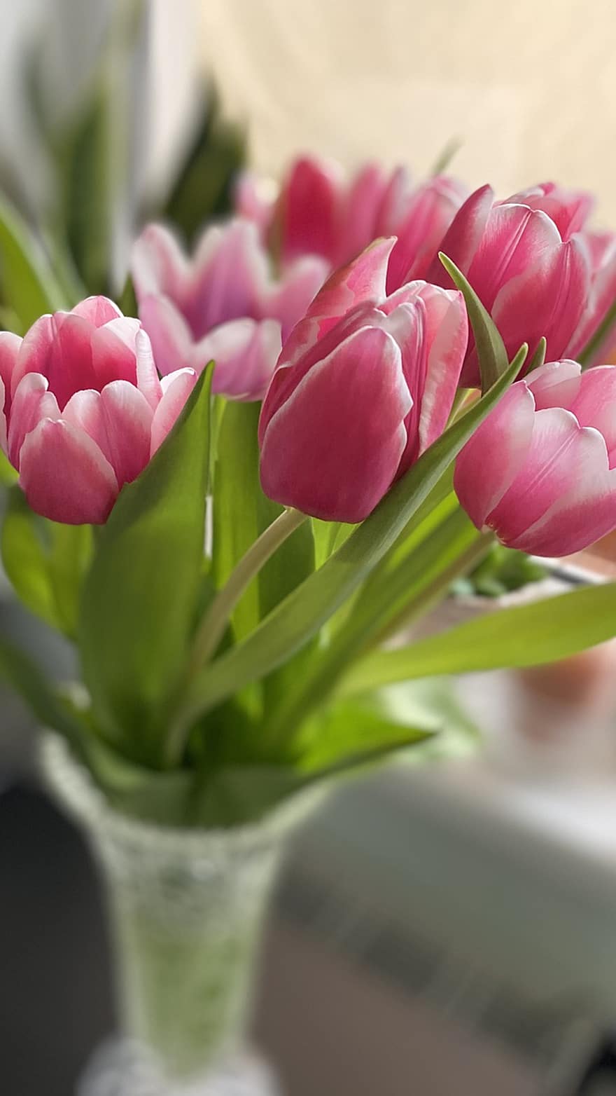 тюльпаны, розовые тюльпаны, букет, розовые цветы, цветы, тюльпан, цветок, завод, ваза, головка цветка, свежесть