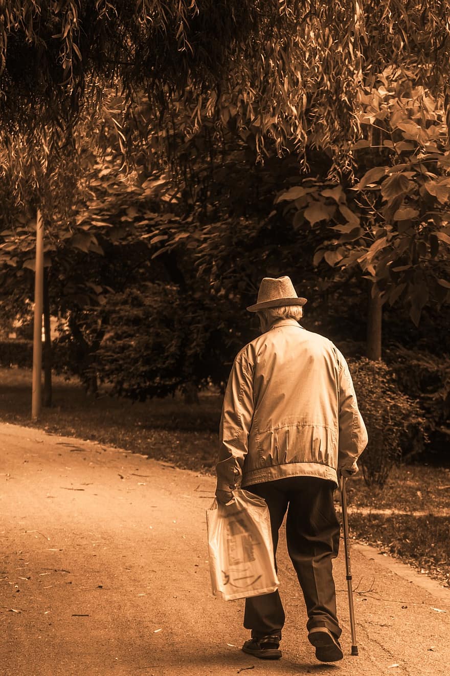 cilvēks, vecākais, staigāt, ceļš, parks, persona, vecāka gadagājuma cilvēkiem, cepure, spieķis, niedru, aleja