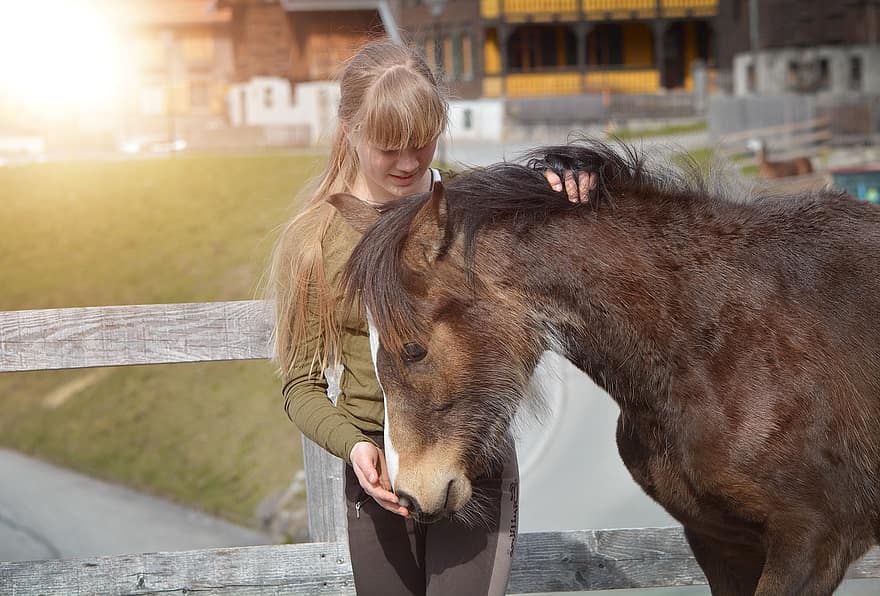 Foal, Horse, Girl, Pony, Yearling, Young Animal, Animal, Mammal, Equine, Connection, Friends