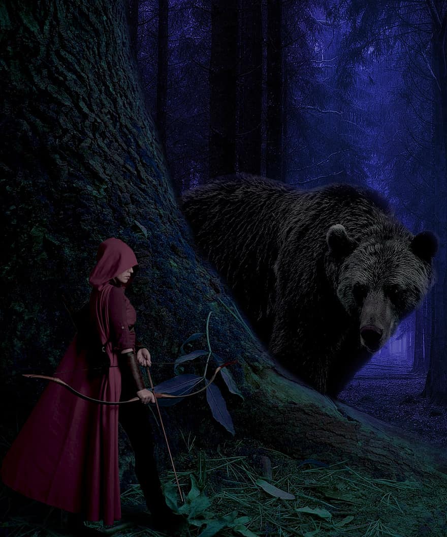 ведмідь, стрілець, темний, ніч, ліс, природний, дерево, мисливець, хижак, тварина, дикий