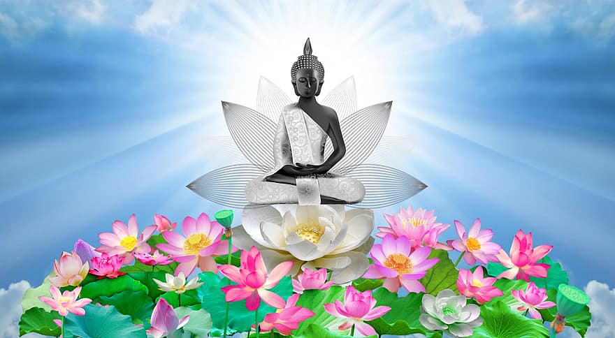 meditaatio, jooga, hengellinen, Buddha, Mandela, lotus kasvi, värikäs, taika-, rentouttava, mietiskellä, rauhallinen