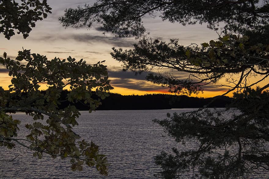 พระอาทิตย์ตกดิน, ทะเลสาป, ธรรมชาติ, ใบไม้, สาขา, สวีเดน, พลบค่ำ, แสงที่ค้างอยู่บนท้องฟ้า, บรรยากาศยามเย็น