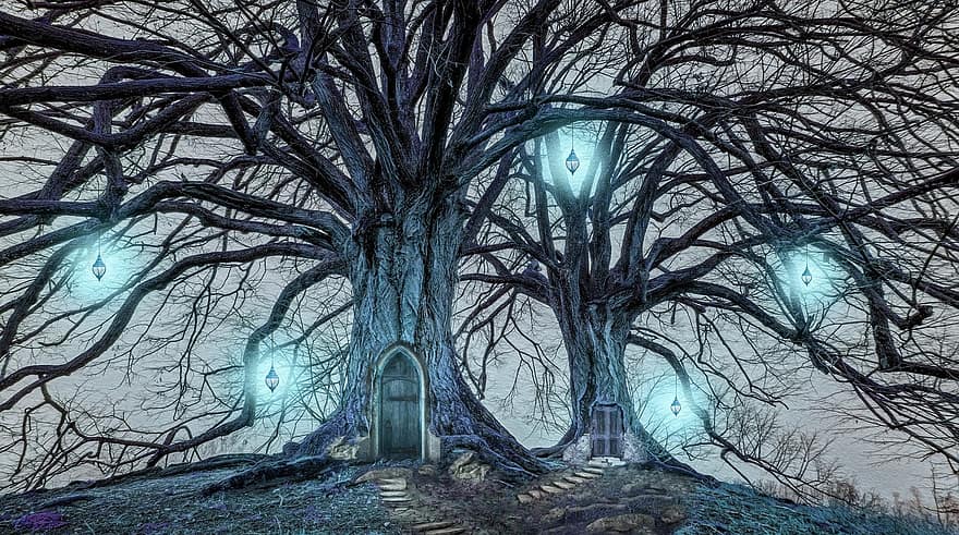 des arbres, lumières, lumières féériques, nuit, des portes, porte, paysage, la magie, des lanternes, mystique