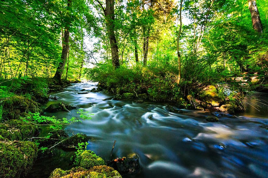 râu, pădure, natură, copaci, apă, curent, Krauchenwies, prințul parc, Andelsbach, expunere lungă, Culoarea verde