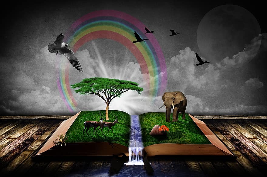 bok, natur, fantasi, fugler, elefant, Afrika, afrikansk bush elefant, landskap, vannhull, dyr, lichtspiel