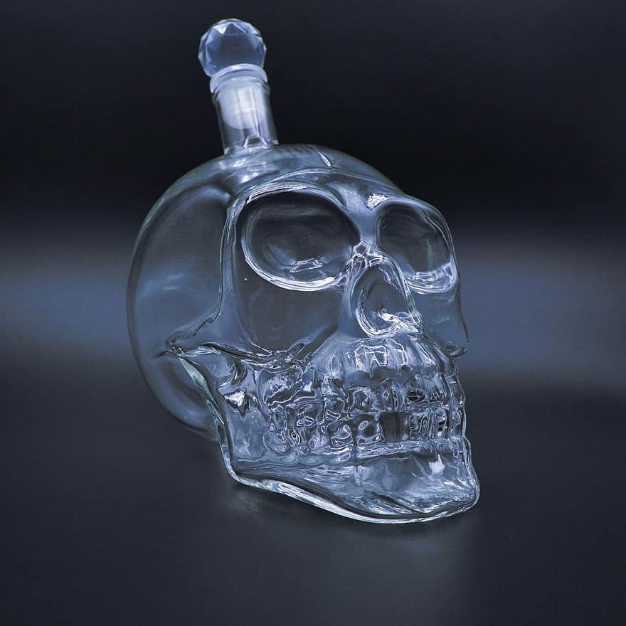 Glass, Skull, Mystery, Dark, Jar, Magic, single object, close-up, danger, human skull, black background