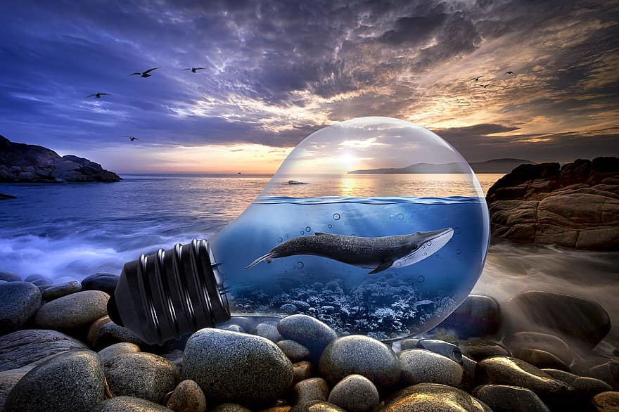 синій кит, лампочка, океану, море, фантазія, каміння