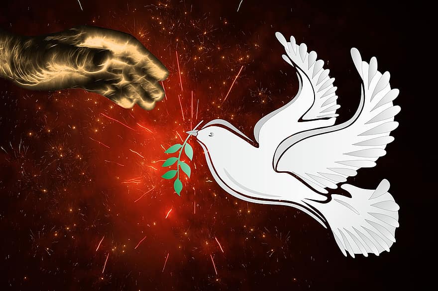 Dove Of Peace, Help, Peace, Hope, Message, Symbol, Explosion, Rescue, Hand, flying, backgrounds