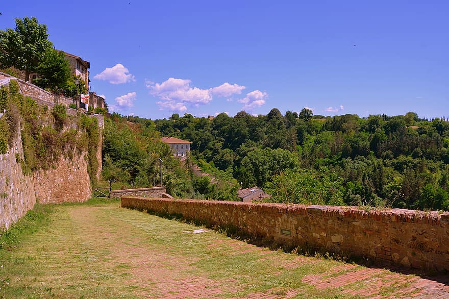 κατάβαση, δρόμος, γρασίδι, πράσινος, τείχος, δέντρα, cole di val d'elsa, Τοσκάνη, Ιταλία
