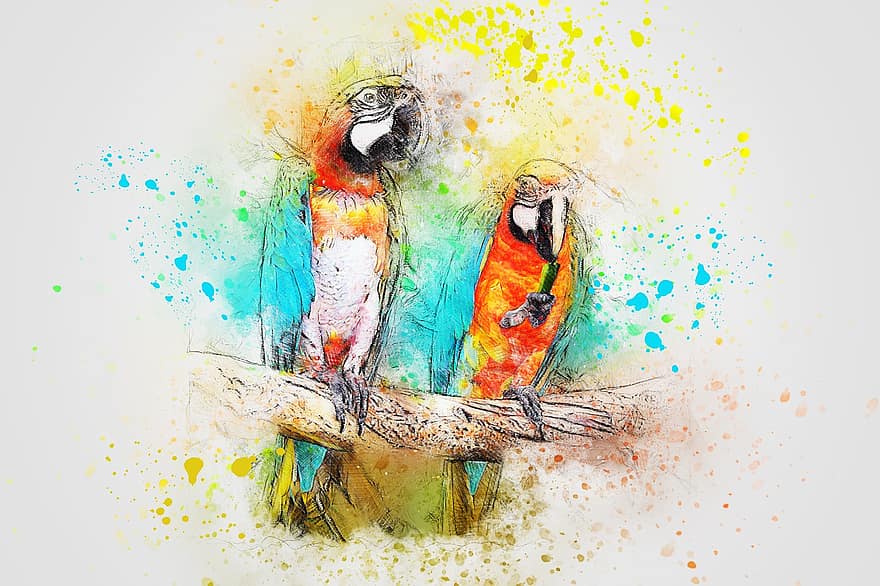 Bird, Parrot, Feathers, Art, Abstract, Watercolor, Animal, Colorful, Vintage, Spring, Nature