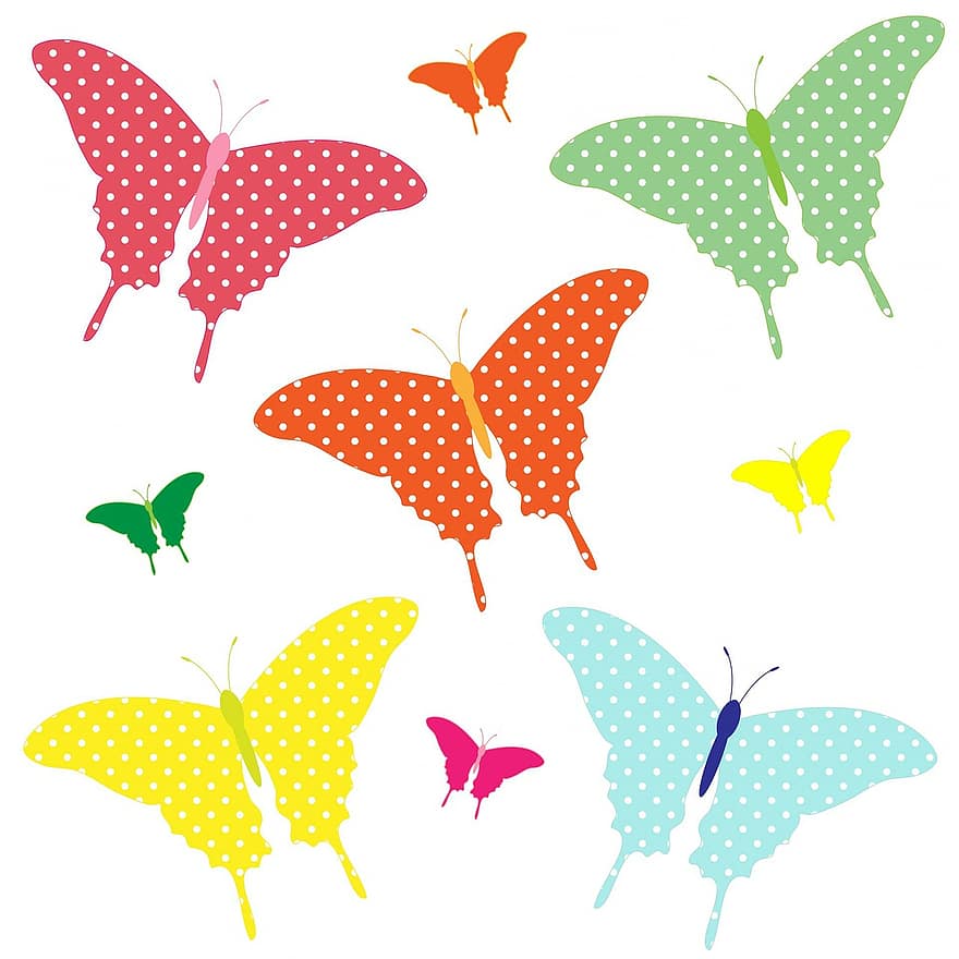 fjäril, fjärilar, konst, färgrik, polka prickar, prickar, fläckar, orange, grön, gul, rosa