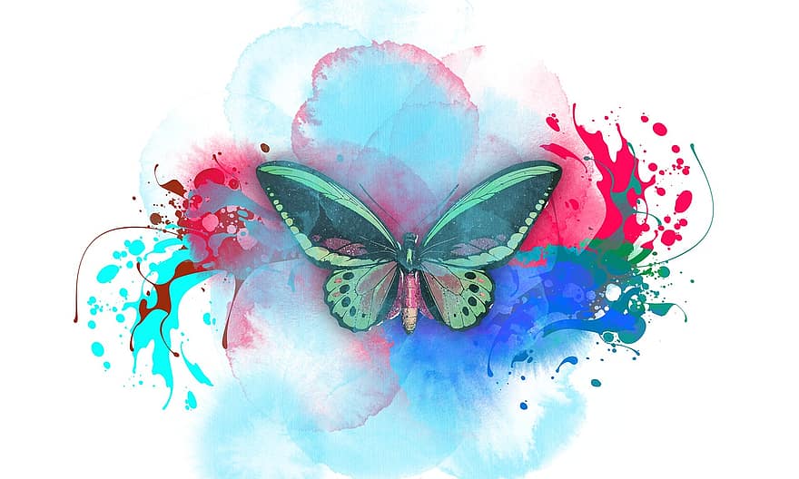 farfalla, Opere d'arte ad acquerello, acquerello, sfondo, sfondo del desktop, schermata iniziale, astratto, illustrazione, insetto, multicolore, sfondi