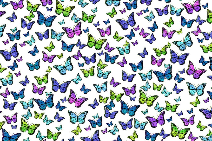 những con bướm, mẫu, lý lịch