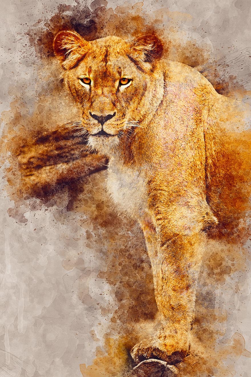 leona, salvaje, mirando, Art º, acuarela, vendimia, gato, África, animal, resumen, artístico