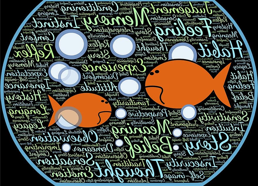 fishbowl, fisk, nedsænkning, miljø, omgivelser, vand, undervands-, uvidende, konceptuelle, virkelighed, forhold