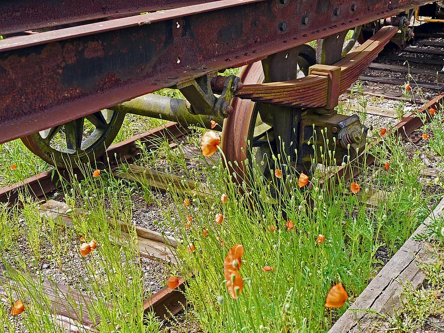 železniční muzeum, dráha, osa, paprsková kola, Jarní balíček, rez, zrezivělý, zarostlý, mák, květiny, začátkem léta