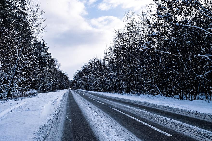 道路、木、森林、雪、コールド、高速道路、パス、冬、空、パーク、霜