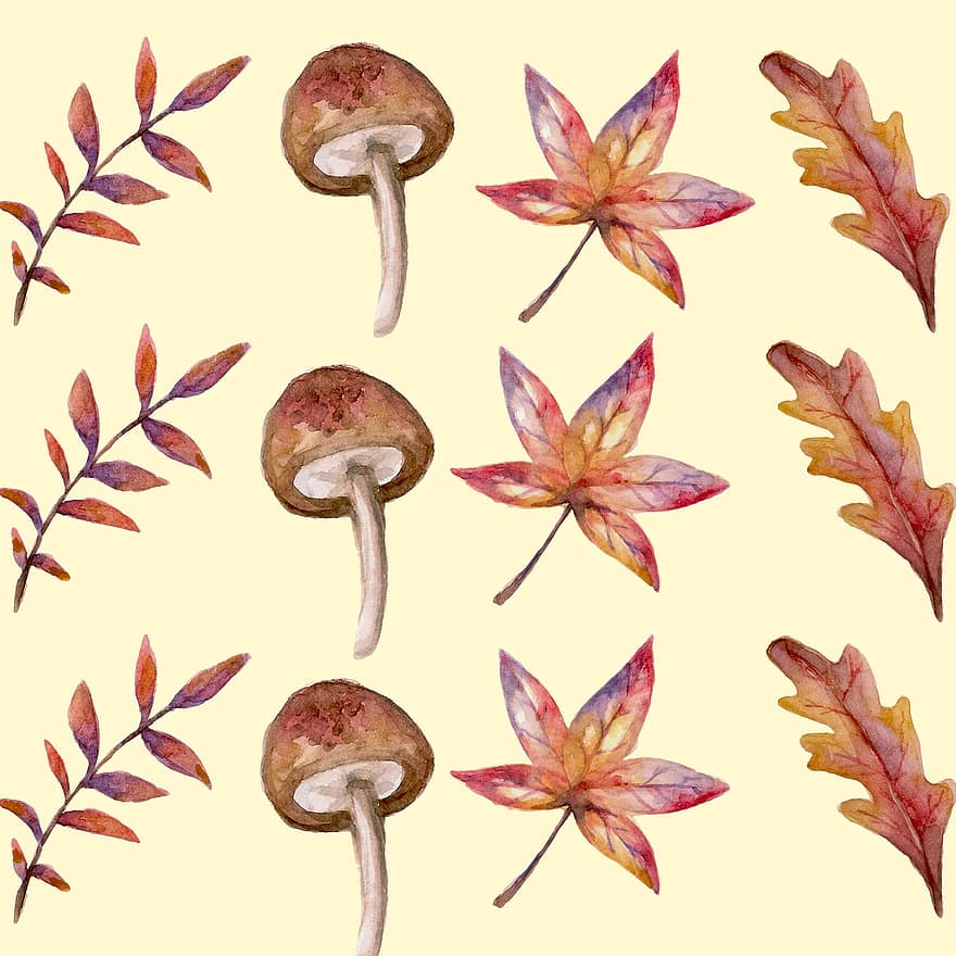 秋、葉、きのこ、水彩、デジタル絵画、紅葉、パターン、設計、秋の季節、アイコン、秋のアイコン