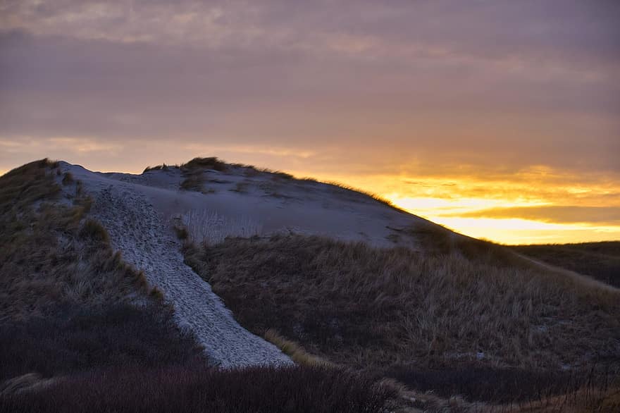 Sand Dune, Sunset, North Sea, Beach, Sun, Nature, Landscape, Denmark, mountain, grass, dusk