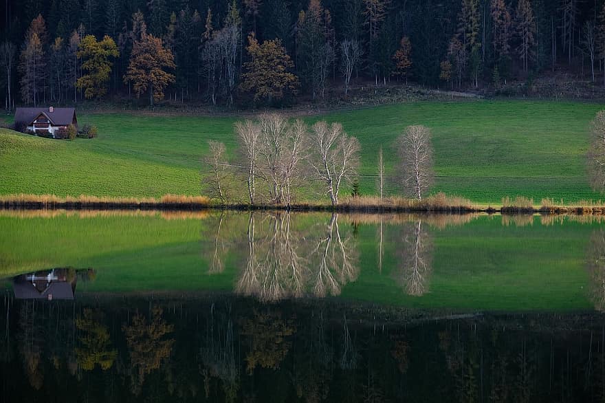 meer, bomen, berk, cabine, hut, water reflectie, herfst, natuur