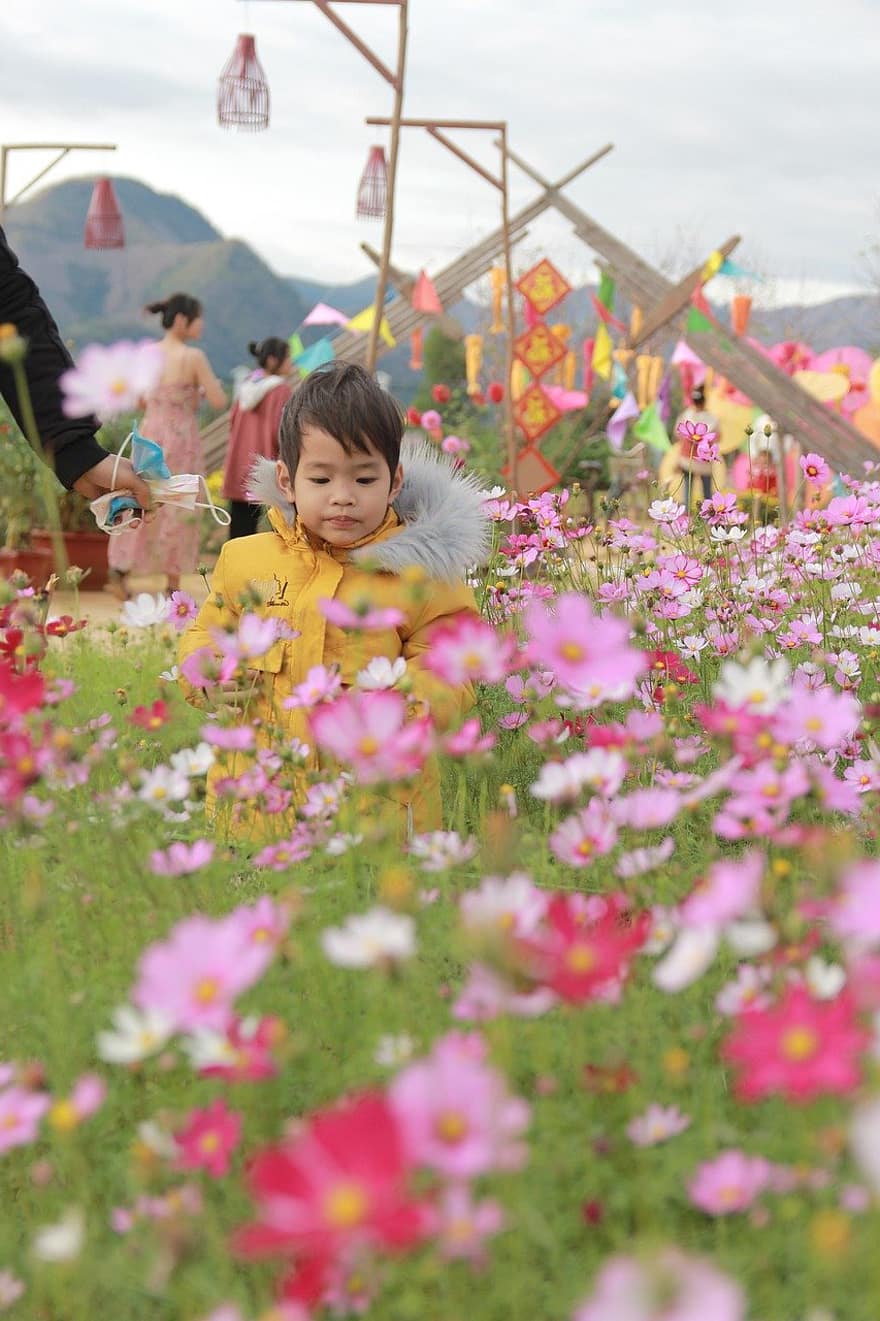 çocuk, oğlan, Çiçekler, bitkiler, Bahçe, sevimli, Çiçek açmak, yapraklar, genç, çocukluk, çiçek
