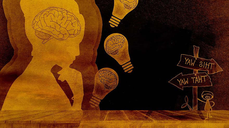 Woman, Direction, Decision-making, Wooden Sign, Light Bulbs, Female, Lady, Person, Brain, Mind, Idea Generation