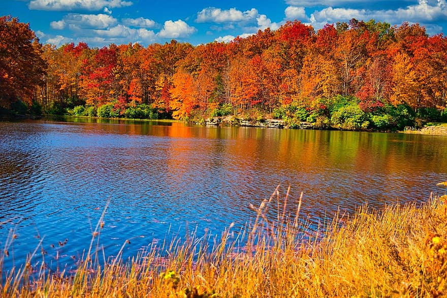 outono, cor, folhagem, agua, lago, West Virginia, viagem, arvores