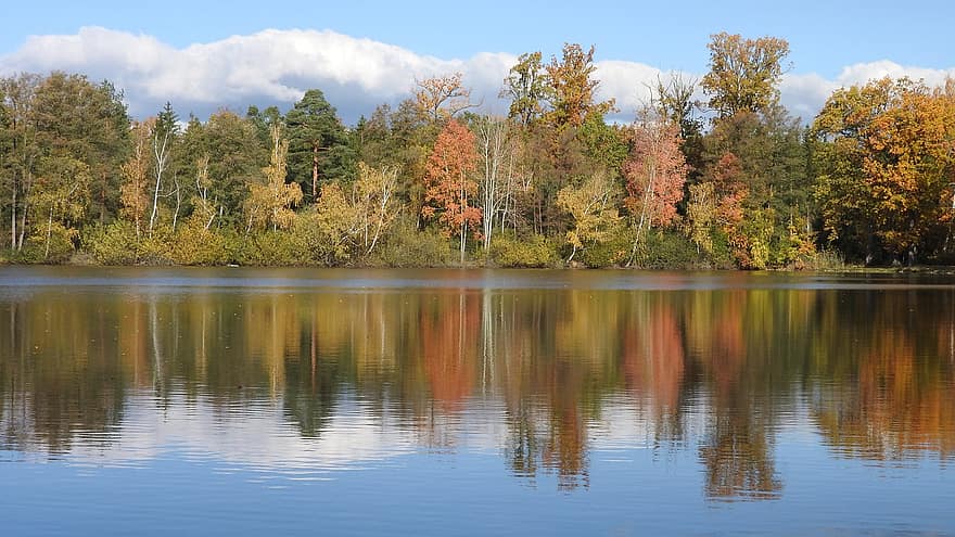phong cảnh mùa thu, hồ nước, rừng, mùa thu, cây, ao, Thiên nhiên, třeboň, màu vàng, nhiều màu, Lá cây