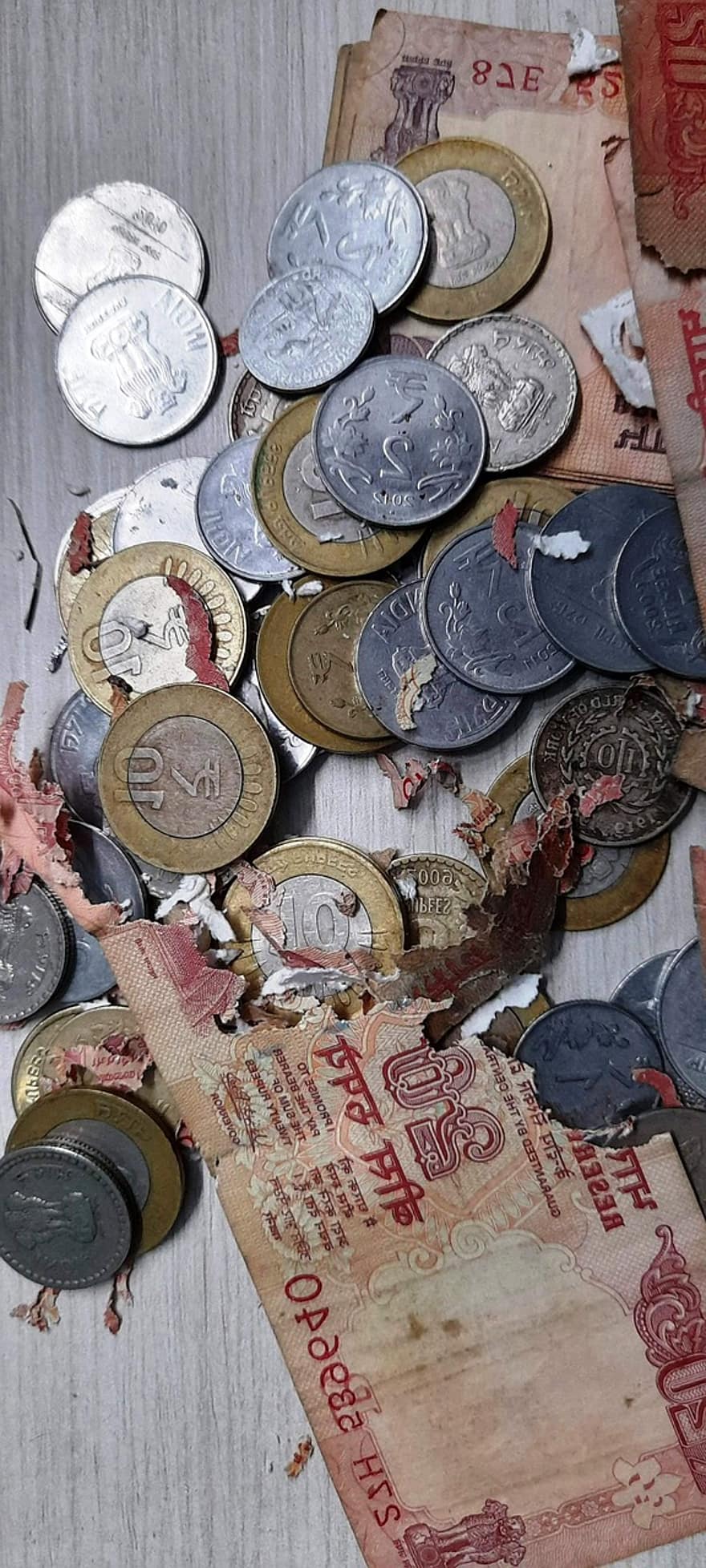동전, 지폐, 찢어진, 손상된, 돈, 느슨한 변경, 지불, 저금, 재원, 통화, 수입