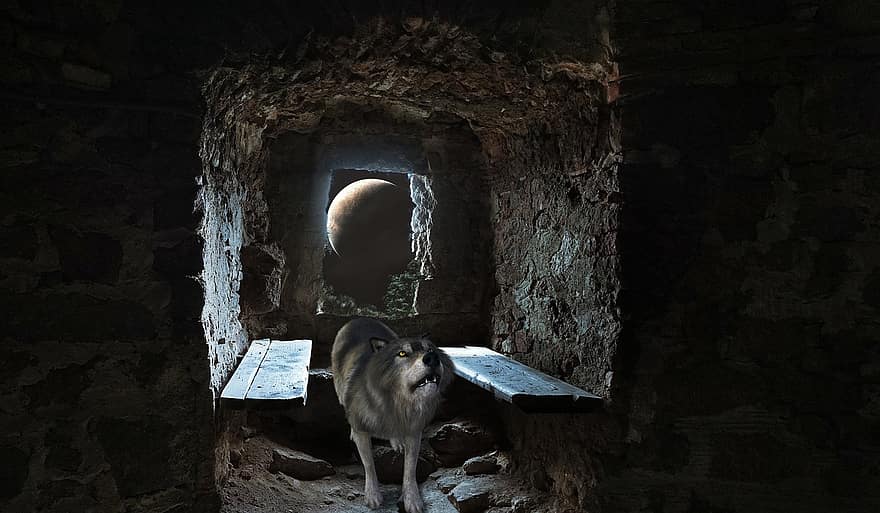 Wolf, Small Room, Fantasy, Moon, Room, Dark, abandoned, architecture, old, indoors, looking