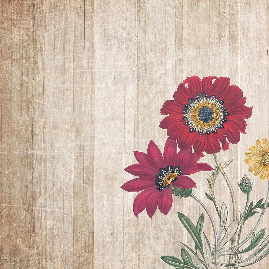 фон, доски, цветы, скрапбукинга, бумага, текстура, альбом, марочный, ретро, процветать, изображение на заднем плане