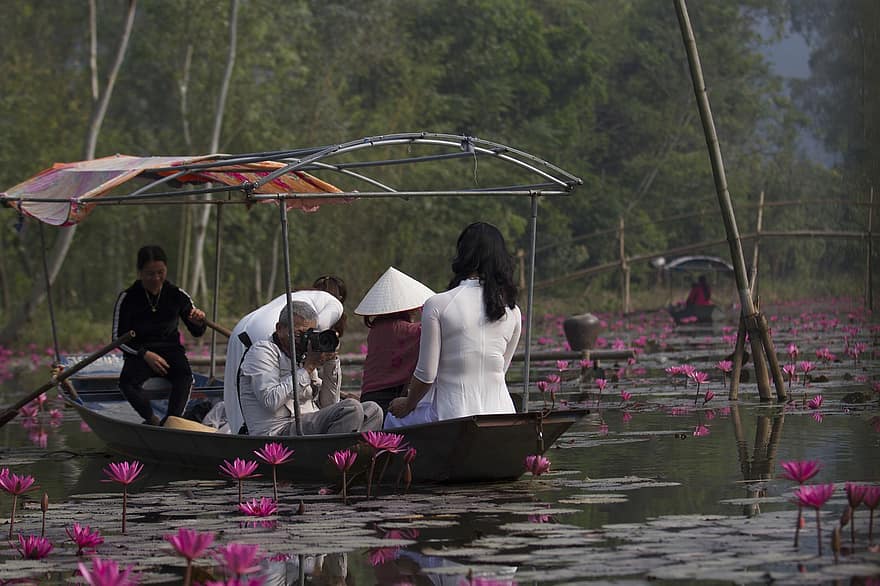 barco, sessão de fotos, lago, lótus, flores, lírio d'água, flores cor de rosa, modelo, mulher, asiático, lagoa