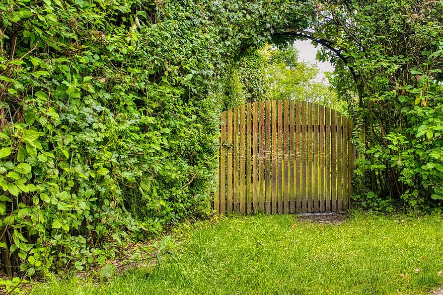 cổng vườn, gỗ, mục tiêu, cửa gỗ, đầu vào, sự phân chia ranh giới, hàng rào