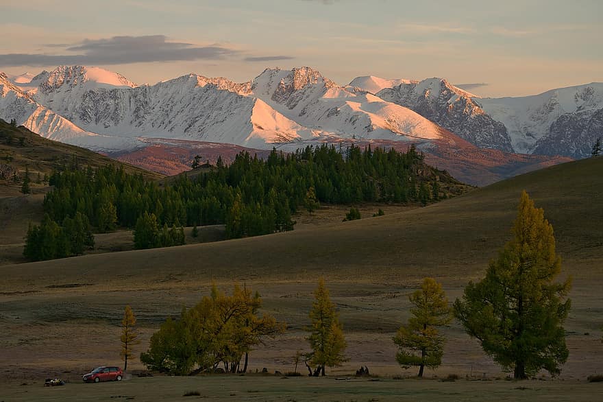 Altai, bjerge, landskab, sne, solopgang, træer, Mark, steppe, natur, daggry, bjerg