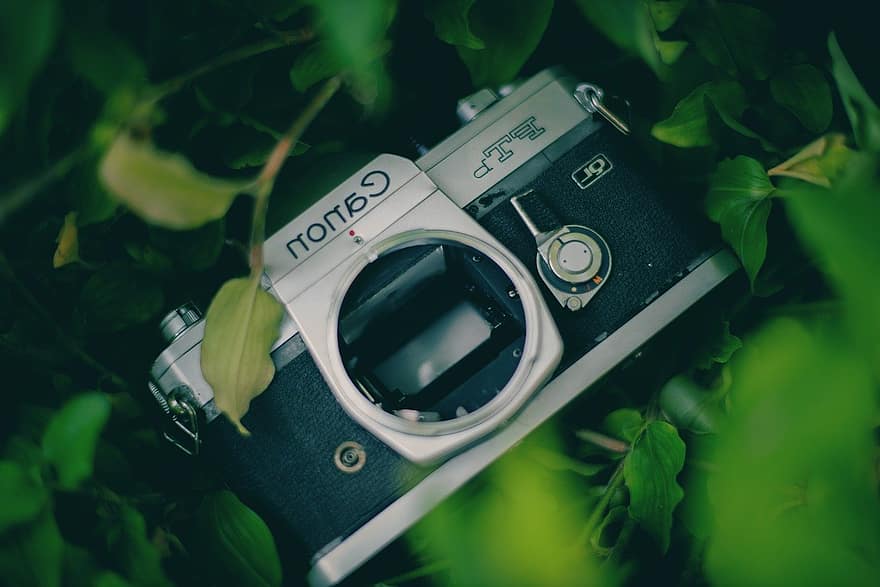 camera, canon, graphy, graphic equipment, technology, lens, optical instrument, equipment, close-up, green color, old-fashioned