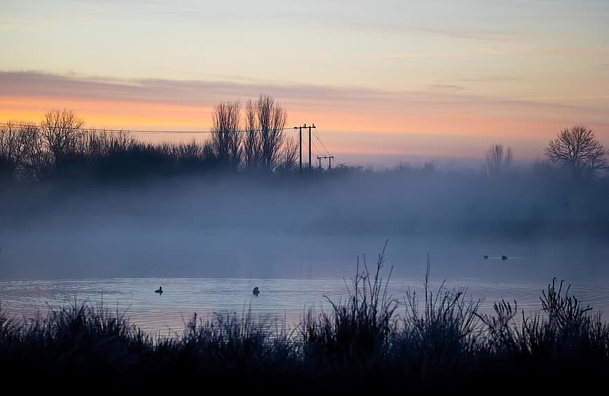 湖、霧、朝、自然、ミスト、日の出、夜明け、木、葦、水、霧の