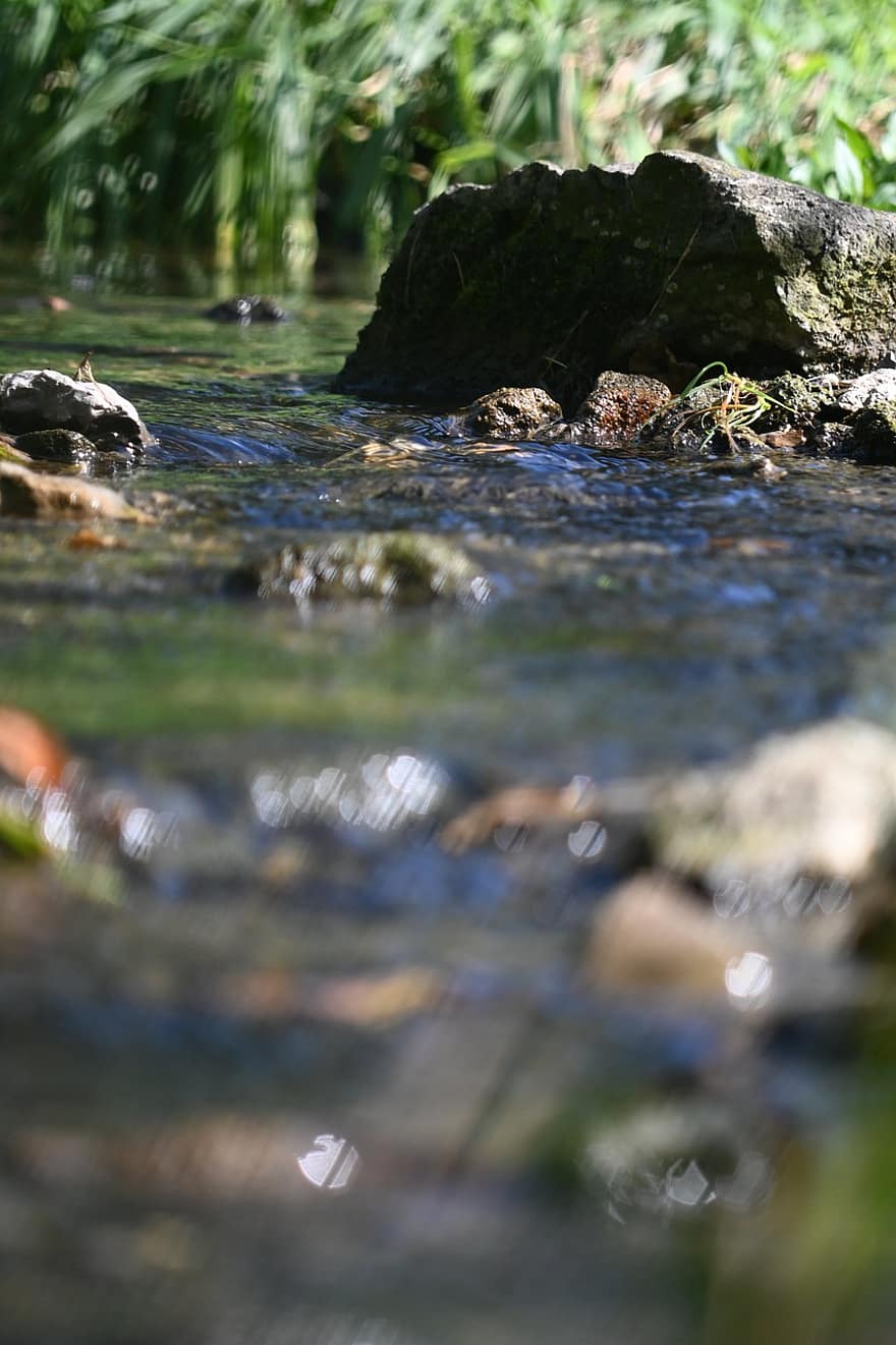River, Brook, Stream, Creek, water, green color, summer, forest, close-up, rock, pond