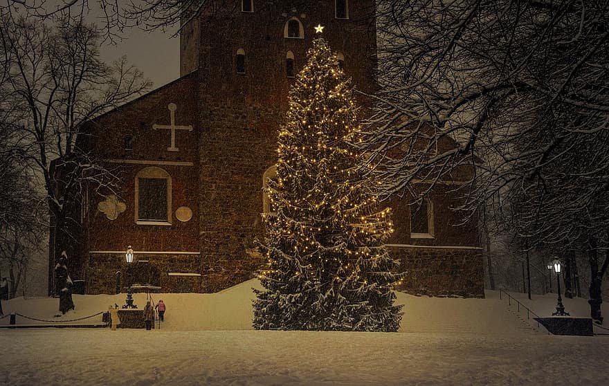 クリスマスツリー、休日、シーズン、クリスマス、教会、お祝い、冬