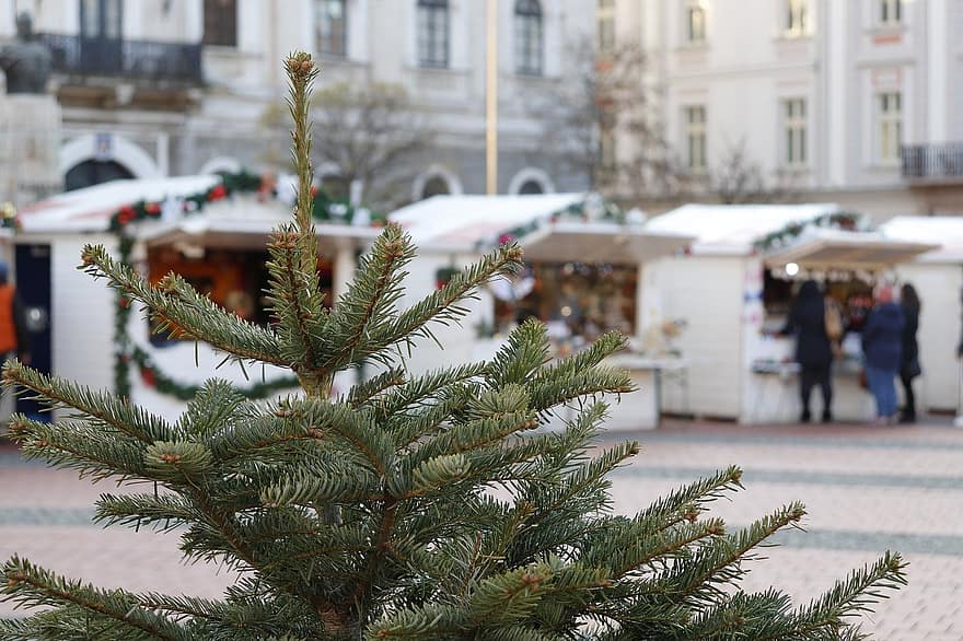 vánoční trh, vánoční strom, trh, Vánoce, Dovolená, zimní, strom, kultur, oslava, sníh, sezóna
