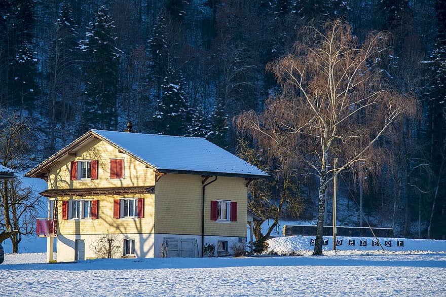 Maisons, cabines, village, neige, hiver, soir, Suisse, la glace, bois, arbre, saison