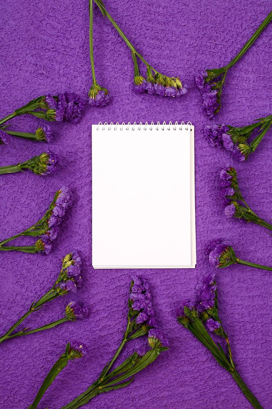 blommor, bakgrund, anteckningsblock, anteckningsbok, papper, ram, gräns, sjö lavendel, statice, kronblad, blomma