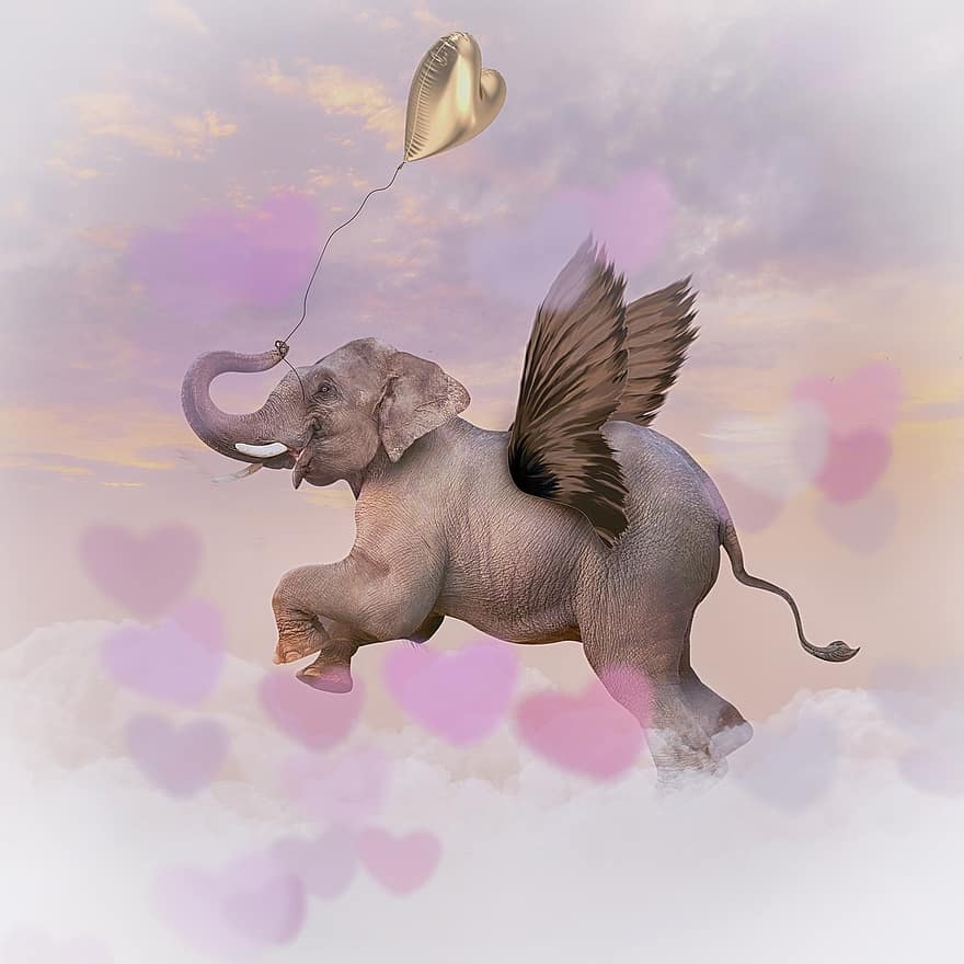 animal, l'éléphant, ailes, fantaisie, rêver, voler, mammifère, Valentin, amour, illustration, en volant