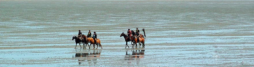 lovak, lovaglás, tömeg, emberek, lovagol, víz, tenger, tájkép, tengerpart, strand, vágta